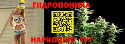 Альфа ПВП Рязань